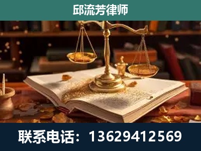 文山-新型网络犯罪
